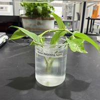 Agent de rétention d'eau très efficace pour la conservation de l'humidité du sol et l'amélioration de la croissance des plantes fabriqué en Chine