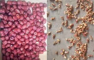 Multifunción Haw Jujube ciruelas cerezas manzanas de removedor/Oliva albaricoque melocotón de picaduras/máquina de <span class=keywords><strong>semilla</strong></span> de fruta de quitar de la máquina - Product Image 6