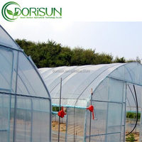 Serre en plastique économique de 30 x 10 m à vendre, taille personnalisée, serre agricole
