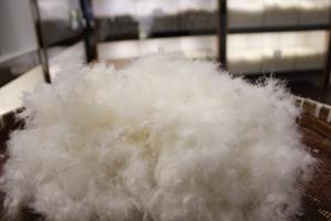 Plumes de canard et d'oie blanc pur, lavable à la Machine, bas prix, bas prix - Product Image 2