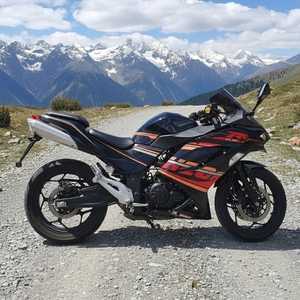 Motocicleta Kawasaki Ninja <span class=keywords><strong>H2</strong></span> de 1000cc, 4 Cilindros en Línea, Refrigerada por Líquido, Supercargada, Hiperdeportiva, Fabricada en China - Product Image 5