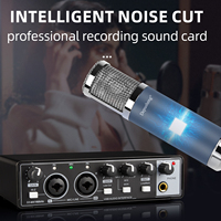 Biner Interface Audio USB d'Enregistrement Professionnel Avec Kits de Microphones à Condensateur 48V pour Studio de Musique