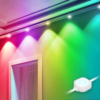 Tahan air iklan Marquee String WIFI Bluetooth APP kontrol cerdas lampu 100 luar ruangan 27M LED PVC DC 12V 80 IP65 adegan
