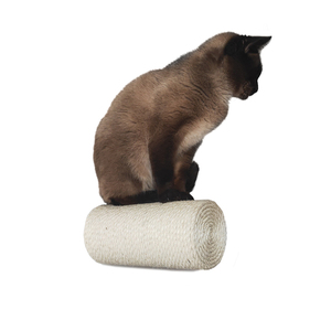 Popular rascador de pared para gatos, postes rascadores de sisal montados en la pared, juguetes para gatos, estructuras de escalada para gatos - Product Image 1