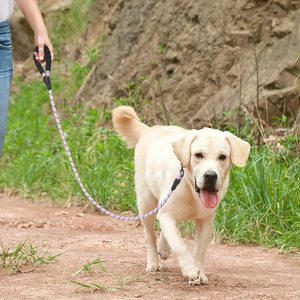 Laisse Réfléchissante Personnalisée pour Chien, Réglable, Robuste, pour Dressage, avec Poignée Rembourrée, Vente en Gros, Anti-Traction - Product Image 3
