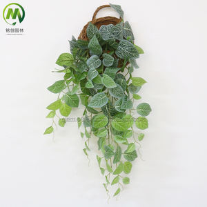 Guirlande <span class=keywords><strong>de</strong></span> <span class=keywords><strong>haie</strong></span> murale en plastique vert, décorations artificielles pour mariage, décorations luxuriantes pour balcon avec des vignes <span class=keywords><strong>de</strong></span> lierre suspendues, look élégant et facile à réaliser soi-même - Product Image 6