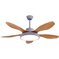 Venta directa de fábrica 55 "5 Abs Blades LED Ventilador de techo Luz Bldc Luz de techo con ventilador y lámpara de ventilador de control remoto para casa