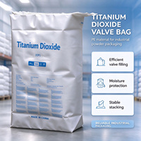 Sacs en PE avec valve anti-fuite 25 kg, taille personnalisée, haute résistance à la déchirure, sacs en plastique pour dioxyde de titane