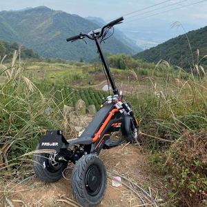 สกู๊ตเตอร์ไฟฟ้าสามล้อคุณภาพสูงมาตรฐาน EU พร้อมเบาะนั่ง 1200W 48V มอเตอร์คู่ โครงอะลูมิเนียม ความเร็วสูงสุด 51 กม./ชม. รับน้ำหนักได้ 150 กก. พร้อมดิสก์เบรก - Product Image 1