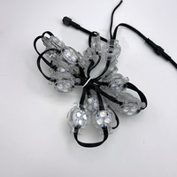 Luces LED de Punto de 30 mm, 12 V, IP67, para Paisajes Exteriores, Navidad, Fiestas, RGB, SMD5050, Precio de Fábrica