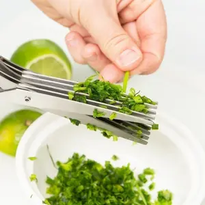 5 Blade Herb Scissor Vegetable Kitchen Shears Stainless Steel MultiFunction Home Kitchen Herb Scissors With Cover