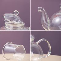 Théière en verre 800ml/1000ml avec infuseur amovible, compatible cuisinière, écologique, design original pour thé en vrac et thé fleuri