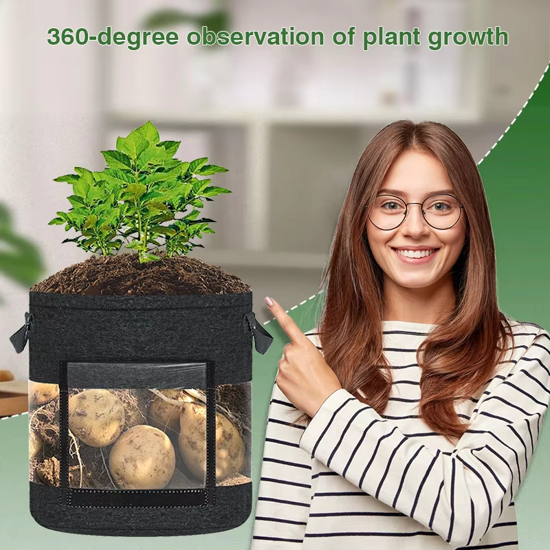 Clear Potato Grow Bag with Viewing Window - Root Observation Planter ...