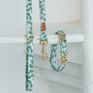 XS Minty Dew Cotton Comfortable <b>Dog</b> <b>Collar</b> Modern Elegant Print Personalized Durable Wholesale OEM ODM - Product Image 4