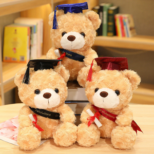 Oso de Peluche Personalizado con Camiseta de Graduación, Pequeño, para Regalos de Graduación - Product Image 2