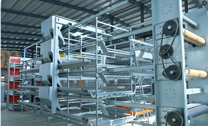 Cage à poules automatique à faible bruit pour élevage avicole, équipement d'élevage <span class=keywords><strong>de</strong></span> volailles entièrement automatique pour ferme - Product Image 4