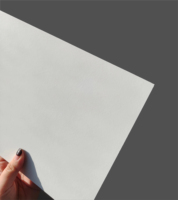 Panneau mural extérieur en PRV avec gelcoat en fibre de verre de 1 à 4 mm d'épaisseur - Finition lisse, feuille isolante haute résistance aux chocs, certifié ISO 9001 pour VR