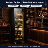 Réfrigérateur commercial à 1 porte, vitrine réfrigérée avec refroidissement par air/ventilateur, unité de stockage de boissons à température unique