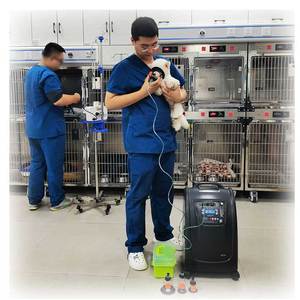 Vet soluzione di ossigeno Pet recupero ossigeno 5l attrezzature per ossigeno ospedale animale - Product Image 4