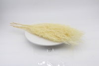 Vente en gros usine – Fleurs stabilisées naturelles d'Artemisia Oryzae pour la décoration intérieure – Longue durée (3-5 ans) – Fête des Mères, Saint-Valentin