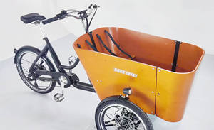 TD-S4 balançoire dispositif d'équilibre électrique alimentaire <span class=keywords><strong>vélo</strong></span> capteur de couple cargo tricycle cargo <span class=keywords><strong>vélo</strong></span> courroie d'entraînement cargo <span class=keywords><strong>vélo</strong></span> néerlandais gravelbik - Product Image 3