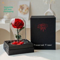 Echte Rose mit LED-Licht konservierten Rosen in Glas Ewige Blumen kuppel für Mädchen Frau Rot Valentinstag Geschenk Ainy Rose