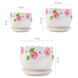 Maceta <span class=keywords><strong>de</strong></span> cerámica sencilla para jardín, maceta creativa para decoración, balcón, cola <span class=keywords><strong>de</strong></span> <span class=keywords><strong>Tigre</strong></span>, maceta para orquídeas, maceta grande para flores - Product Image 4