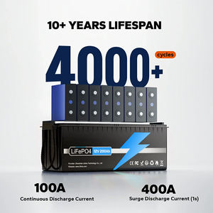 แบตเตอรี่ลิเธียม LiFePO4 12V 100Ah 200Ah 300Ah แบบ Deep Cycle ชาร์จได้ สำหรับ RV บ้านสำรองไฟ ระบบพลังงานแสงอาทิตย์ทางทะเล - Product Image 3