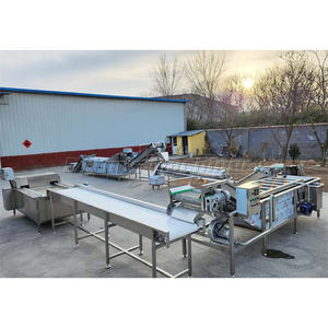 Ligne de traitement automatique des pieds de poulet à haut rendement Griffes de viande Machine à éplucher les pieds de poulet - Product Image 5