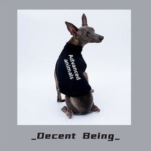 Chaleco <span class=keywords><strong>Deportivo</strong></span> YDC para Perros, para Todas las Estaciones, de Seda Helada, Ligero, de Alta Elasticidad, para <span class=keywords><strong>Galgo</strong></span> Italiano, Whippet y Bellington - Product Image 2