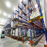 Solutions d'automatisation robustes à base de navettes métalliques, dotées de voitures navettes robotisées, compatibilité WMS pour la distribution moderne