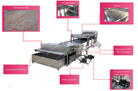 Volledig automatische productielijn voor popping boba, machine voor het maken van popping peels, kan fruit smaak popping boba maken