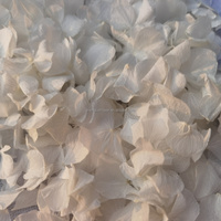 Bunga Awetan Biodegradable Organik Alami Kelopak Hydrangea Kering Pernikahan Pesta Natal Liburan Hari Valentine