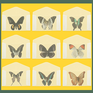 <span class=keywords><strong>ซอง</strong></span>กระดาษแก้วใส ขนาด 2.5x4.25 นิ้ว <span class=keywords><strong>ซอง</strong></span>ใสแบบกำหนดเอง สำหรับใส่ตั๋วลอตเตอรี่ - Product Image 6