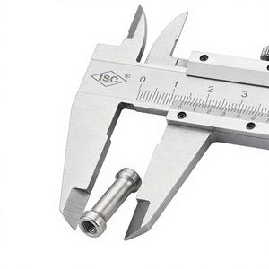 Componentes de Implante Ortopédico Fresados em CNC Biocompatíveis, Peças Médicas Personalizadas em PEEK para Cirurgia - Product Image 1