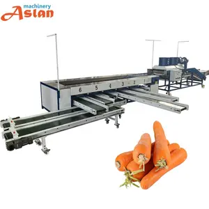 Long Round Avocado Kiwi Cucumber Carrot Size Grader Machine Oval Fruits Vegetable Size Sorting Grading Machine