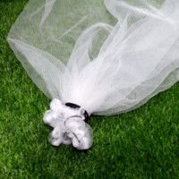 Hot Sale Fruit Tree Protect Mono Mesh Net Groene Pe Date Bag Palm Dadeltas Voor Dadels Vruchtbedekking