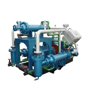 Ad alta pressione CNG azoto Gas naturale Booster industriale compressore a pistone alternativo per la vendita