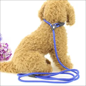 Tali Anjing Slip Tali Penuntun Tali Dikepang Kuat Tugas Berat Tanpa Tarik Latihan Tali Penuntun untuk Anjing Sedang Besar