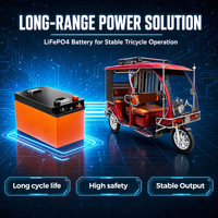 Batterie pour tricycle électrique 48V 72V 50Ah 100Ah 200Ah, charge rapide, fiable pour le transport de marchandises, avec BMS intégré pour Toto