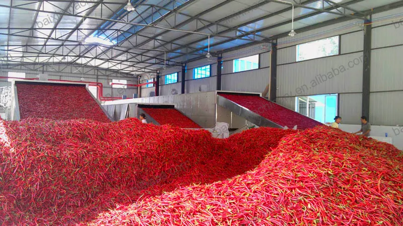 High Efficiency Machinery Vegetable Dryer stainless steel chilli pepper drying equipment