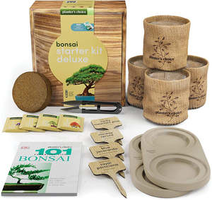 Kit de démarrage bonsaï de luxe avec 10 fentes sac en <span class=keywords><strong>toile</strong></span> verte ensemble d'outils de bonsaï de jardin en acier inoxydable <span class=keywords><strong>pour</strong></span> la décoration de la maison et la <span class=keywords><strong>plantation</strong></span> - Product Image 1