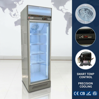 Congélateur commercial vertical pour glaces avec porte vitrée -24°C pour supermarché et épicerie