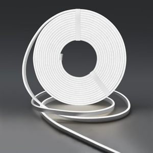 Tiras de Luces LED de Neón Flexibles de Silicona Personalizadas al por Mayor, 220v/12v/24v, 3000k/4000k/6000k - Product Image 1