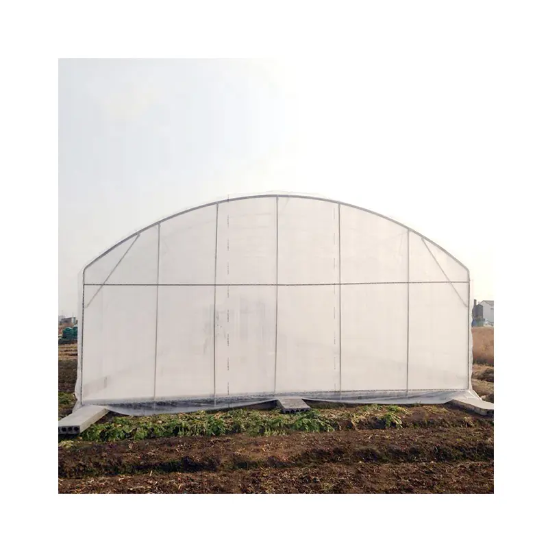 Arch Type Plastic Film Greenhouse With Substrate Culture System For Tomato Cucumber Growing
