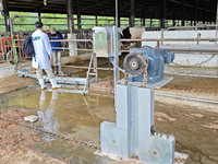 Système automatique de machine de nettoyage de grattoir de fumier de vache pour l'usine de vache
