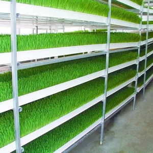 Gouttière hydroponique de plateau de canal de NFT de système de germination de fourrage d'aéroponique de ferme superbe - Product Image 1