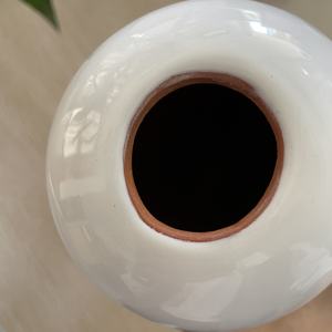 <span class=keywords><strong>Goutteur</strong></span> d'arrosage en <span class=keywords><strong>terre</strong></span> <span class=keywords><strong>cuite</strong></span> pour plantes 2 pcs - Product Image 3