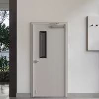 Puerta de Acero Resistente al Fuego para Exteriores, Precio de Fábrica, para Salida de Emergencia, con Clasificación de Resistencia al Fuego de 60/90/180 Minutos, Diseño Moderno - Product Image 4