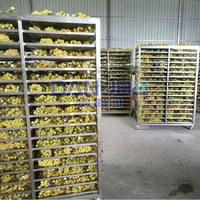 Máquina de Secado de Cacahuetes de Alta Calidad, Secador Industrial de Cacahuetes con Bomba de Calor para el Procesamiento de Semillas y Frutos Secos